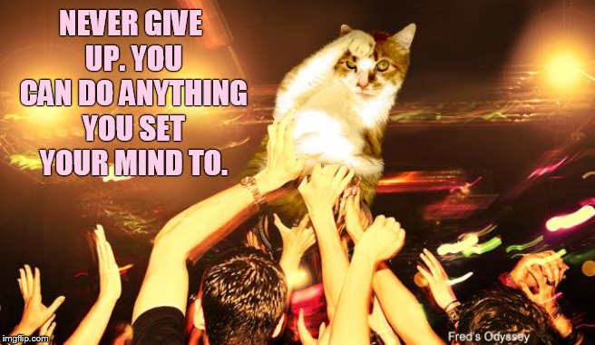 You Can Do It | NEVER GIVE UP. YOU CAN DO ANYTHING YOU SET YOUR MIND TO. | image tagged in memes,cat,crowd,surfing,anything,you can do it | made w/ Imgflip meme maker