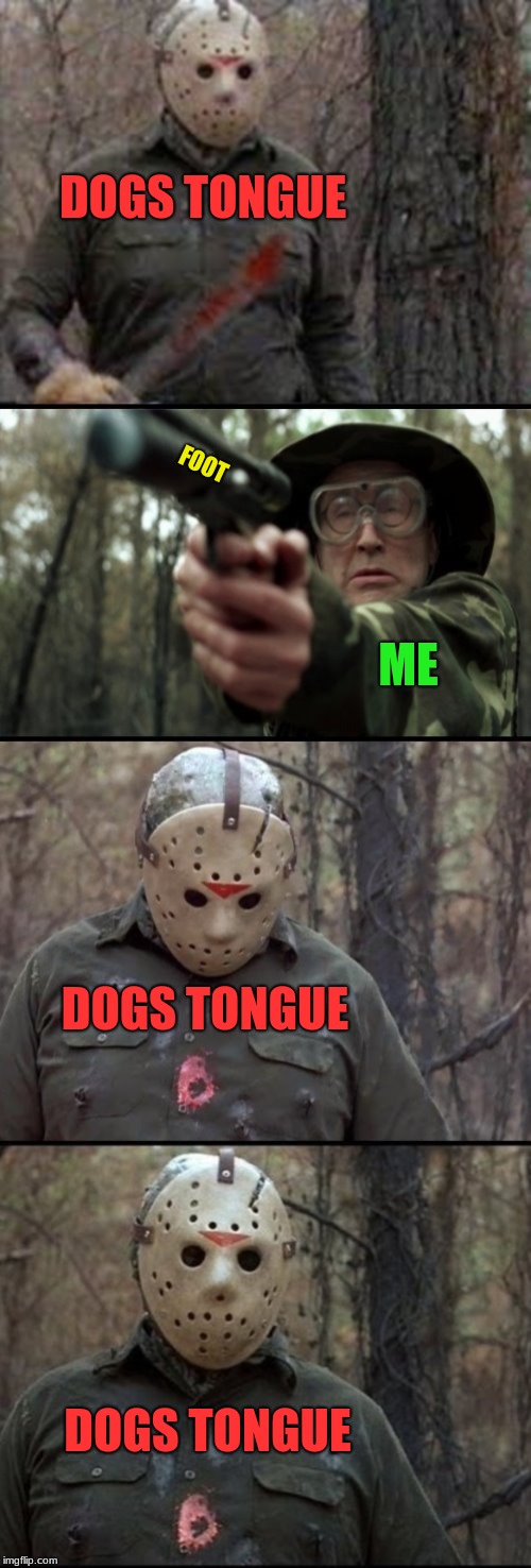 X Vs Y | DOGS TONGUE; FOOT; ME; DOGS TONGUE; DOGS TONGUE | image tagged in x vs y | made w/ Imgflip meme maker