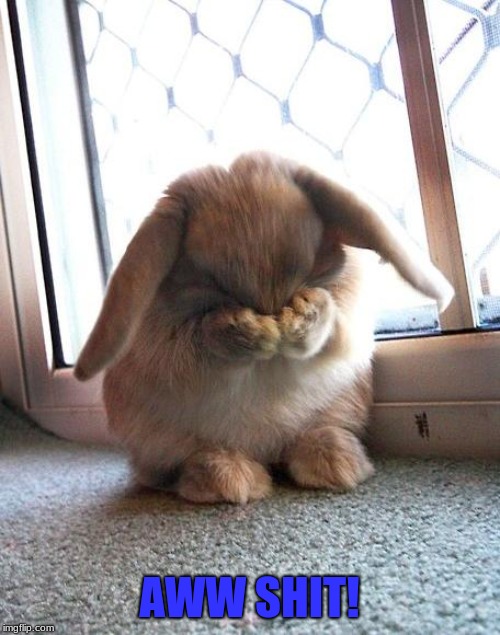 embarrassed bunny | AWW SHIT! | image tagged in embarrassed bunny | made w/ Imgflip meme maker