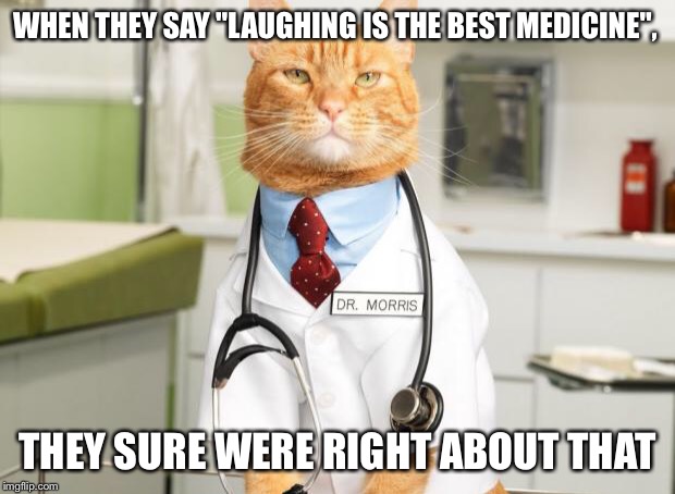 Cat Doctor | WHEN THEY SAY "LAUGHING IS THE BEST MEDICINE", THEY SURE WERE RIGHT ABOUT THAT | image tagged in cat doctor | made w/ Imgflip meme maker