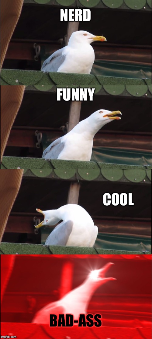Inhaling Seagull | NERD; FUNNY; COOL; BAD-ASS | image tagged in memes,inhaling seagull | made w/ Imgflip meme maker