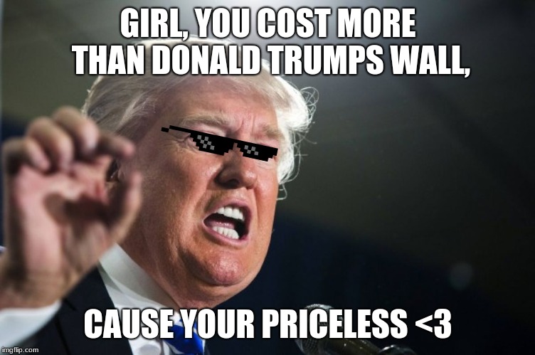 donald trump | GIRL, YOU COST MORE THAN DONALD TRUMPS WALL, CAUSE YOUR PRICELESS <3 | image tagged in donald trump | made w/ Imgflip meme maker