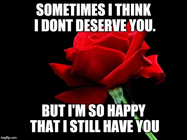 rose | SOMETIMES I THINK I DONT DESERVE YOU. BUT I'M SO HAPPY THAT I STILL HAVE YOU | image tagged in rose | made w/ Imgflip meme maker