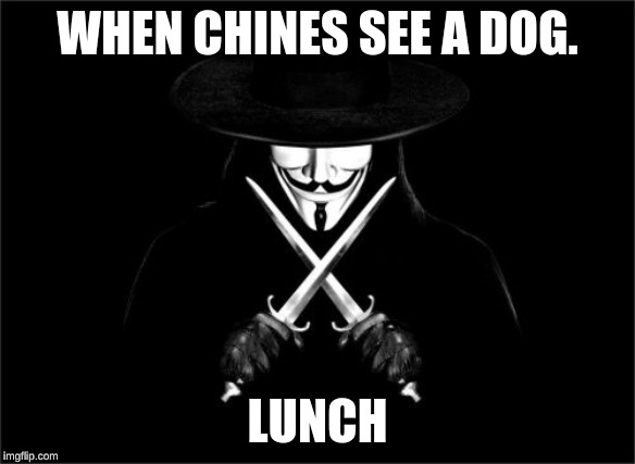 V For Vendetta | WHEN CHINES SEE A DOG. LUNCH | image tagged in memes,v for vendetta | made w/ Imgflip meme maker