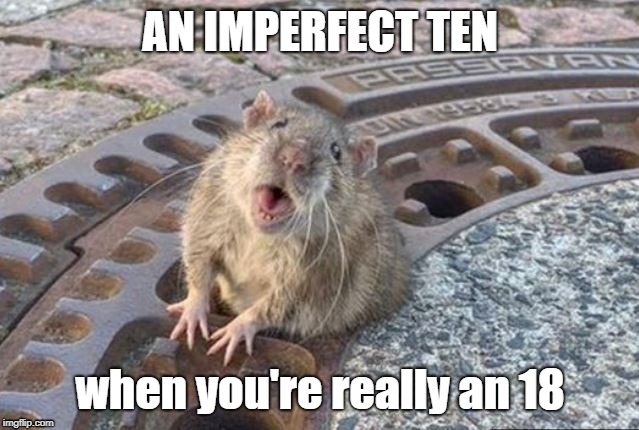 An Imperfect Ten | AN IMPERFECT TEN; when you're really an 18 | image tagged in housemartins,fat rat,diet incentive | made w/ Imgflip meme maker
