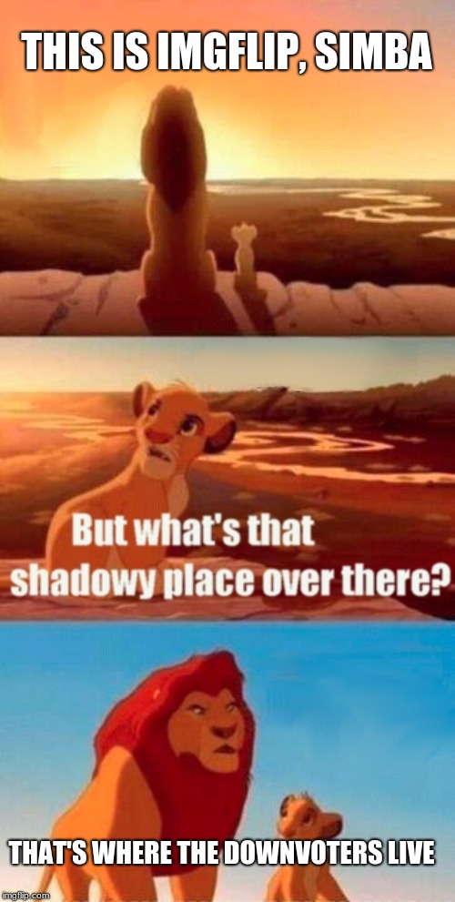 Simba Shadowy Place Meme | THIS IS IMGFLIP, SIMBA; THAT'S WHERE THE DOWNVOTERS LIVE | image tagged in memes,simba shadowy place | made w/ Imgflip meme maker