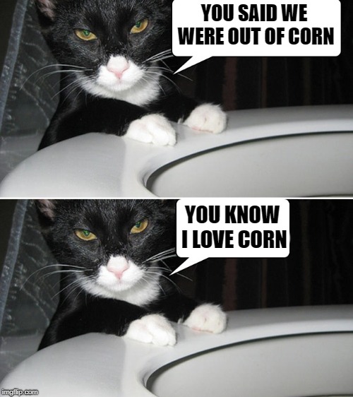 It all comes out in the end | YOU SAID WE WERE OUT OF CORN; YOU KNOW I LOVE CORN | image tagged in corn,toilet,cat | made w/ Imgflip meme maker