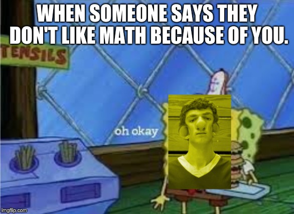 WHEN SOMEONE SAYS THEY DON'T LIKE MATH BECAUSE OF YOU. | made w/ Imgflip meme maker