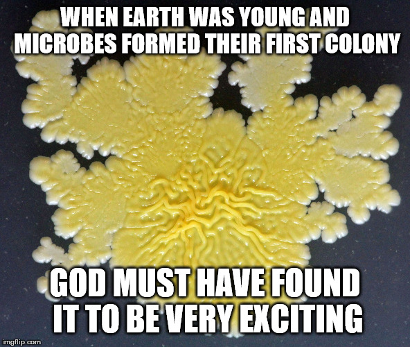 WHEN EARTH WAS YOUNG AND MICROBES FORMED THEIR FIRST COLONY; GOD MUST HAVE FOUND IT TO BE VERY EXCITING | image tagged in microbe colony | made w/ Imgflip meme maker