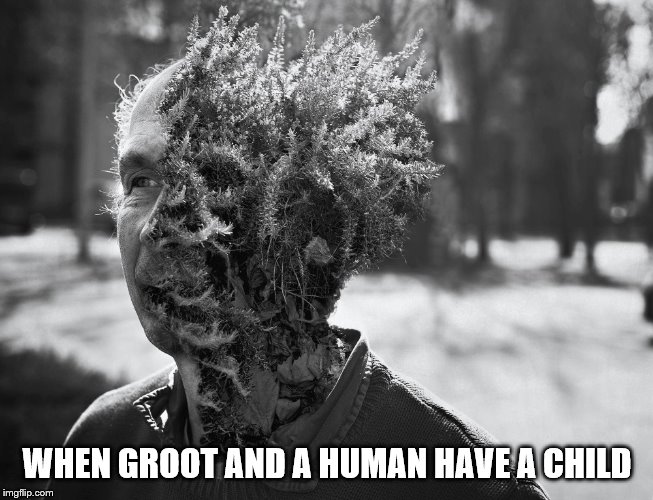 WHEN GROOT AND A HUMAN HAVE A CHILD | image tagged in groot,this is groot,guardians of the galaxy,marvel | made w/ Imgflip meme maker