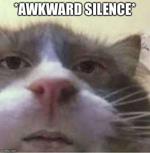Awkward Silence | *AWKWARD SILENCE* | image tagged in socially incorrect cat,awkward,funny,memes | made w/ Imgflip meme maker