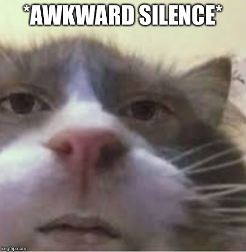 Awkward Silence Meme