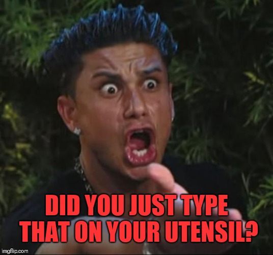 DJ Pauly D Meme | DID YOU JUST TYPE THAT ON YOUR UTENSIL? | image tagged in memes,dj pauly d | made w/ Imgflip meme maker