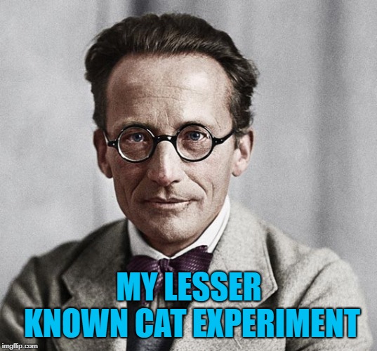MY LESSER KNOWN CAT EXPERIMENT | made w/ Imgflip meme maker