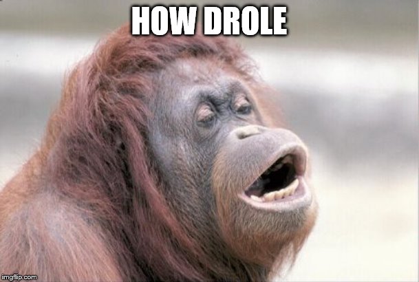 Monkey OOH Meme | HOW DROLE | image tagged in memes,monkey ooh | made w/ Imgflip meme maker