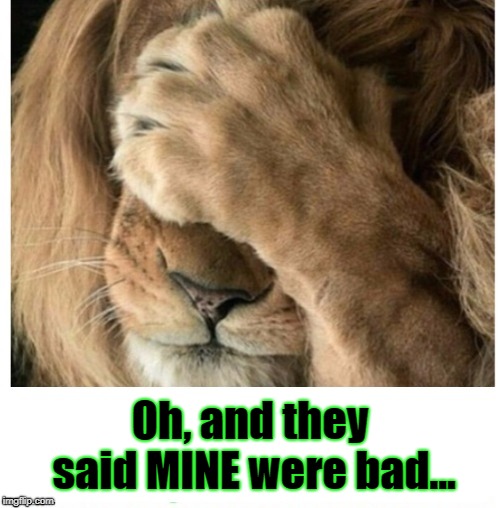 Oh, and they said MINE were bad... | image tagged in humor,sarcasm | made w/ Imgflip meme maker