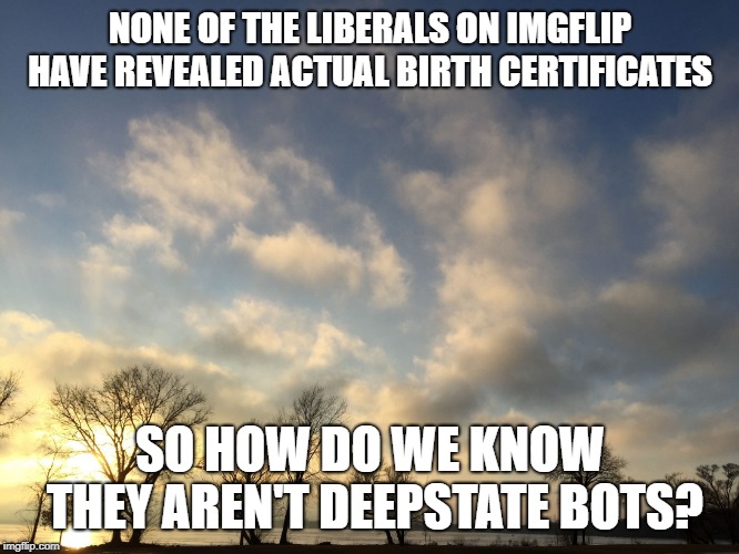 What Is Q? | NONE OF THE LIBERALS ON IMGFLIP HAVE REVEALED ACTUAL BIRTH CERTIFICATES; SO HOW DO WE KNOW THEY AREN'T DEEPSTATE BOTS? | image tagged in america is no longer for sale | made w/ Imgflip meme maker