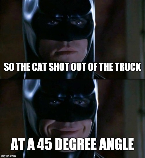 Batman Smiles | SO THE CAT SHOT OUT OF THE TRUCK; AT A 45 DEGREE ANGLE | image tagged in memes,batman smiles | made w/ Imgflip meme maker