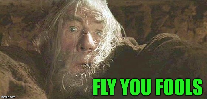 Gandalf Fly You Fools | FLY YOU FOOLS | image tagged in gandalf fly you fools | made w/ Imgflip meme maker