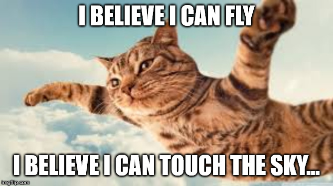 My turn to say... how many of you started singing this in your heads? | I BELIEVE I CAN FLY; I BELIEVE I CAN TOUCH THE SKY... | image tagged in cats,funny,memes,flying | made w/ Imgflip meme maker