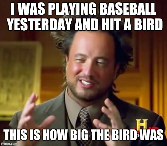 Ancient Aliens | I WAS PLAYING BASEBALL YESTERDAY AND HIT A BIRD; THIS IS HOW BIG THE BIRD WAS | image tagged in memes,ancient aliens | made w/ Imgflip meme maker
