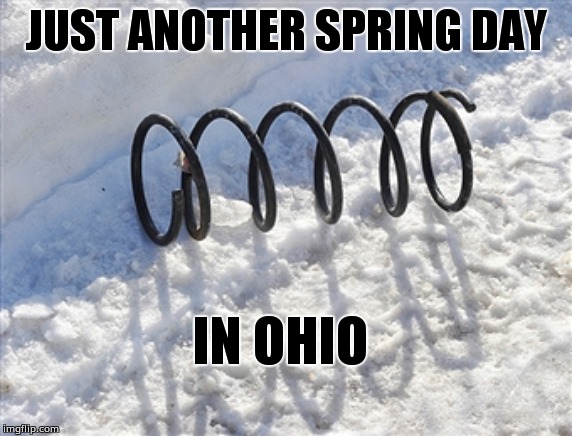 spring in snow | JUST ANOTHER SPRING DAY; IN OHIO | image tagged in spring in snow | made w/ Imgflip meme maker