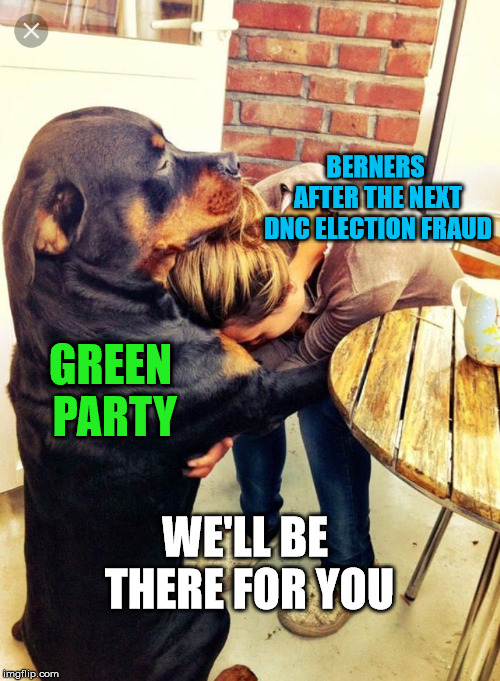 2020 | BERNERS AFTER THE NEXT DNC ELECTION FRAUD; GREEN PARTY; WE'LL BE THERE FOR YOU | image tagged in dog comforting human,bernie sanders,feel the bern,democrats,green party,dnc | made w/ Imgflip meme maker