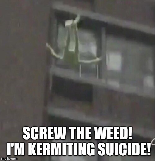 Kermit suicide | SCREW THE WEED! I'M KERMITING SUICIDE! | image tagged in kermit suicide | made w/ Imgflip meme maker