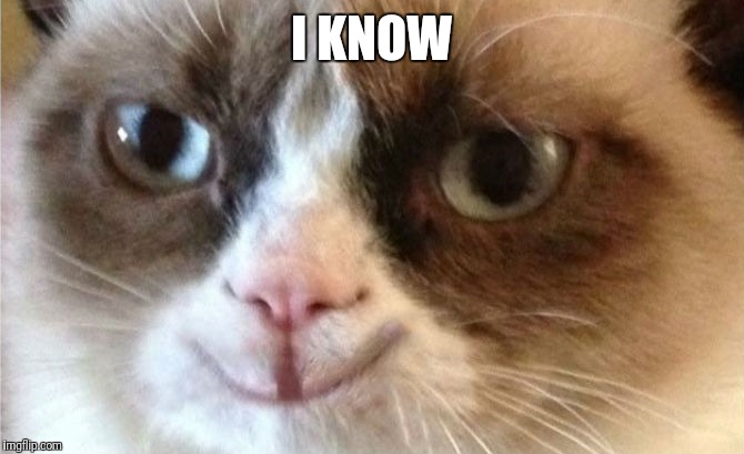 Grumpy Cat happy | I KNOW | image tagged in grumpy cat happy | made w/ Imgflip meme maker