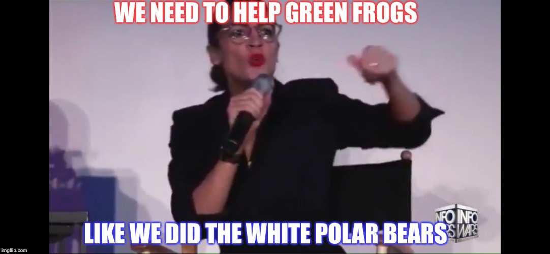 WE NEED TO HELP GREEN FROGS; LIKE WE DID THE WHITE POLAR BEARS | image tagged in cortez the info warrior | made w/ Imgflip meme maker