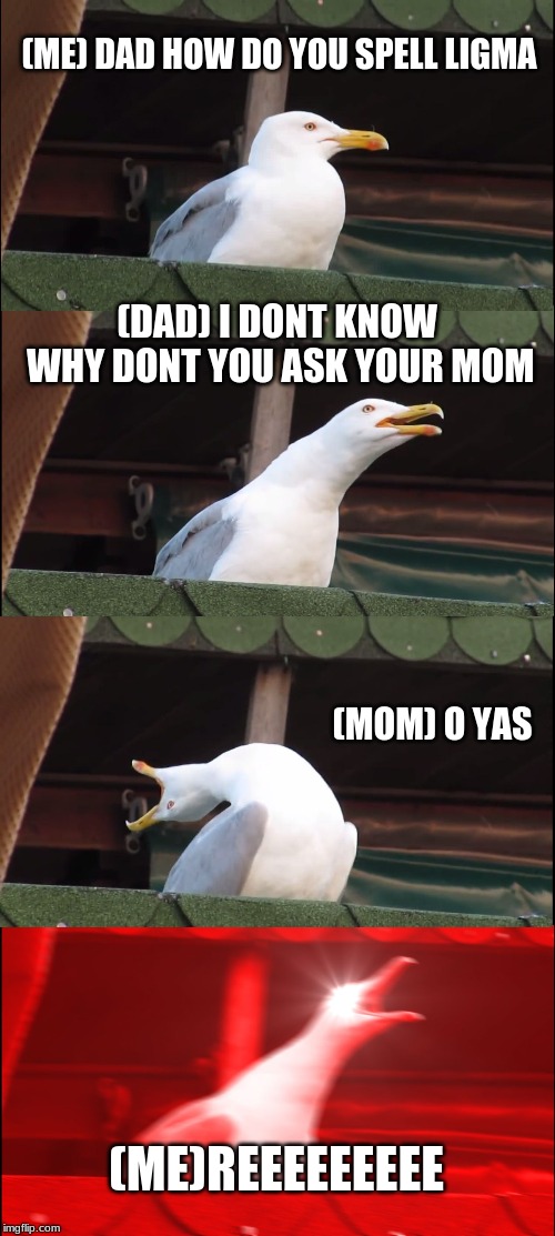 Inhaling Seagull | (ME) DAD HOW DO YOU SPELL LIGMA; (DAD) I DONT KNOW WHY DONT YOU ASK YOUR MOM; (MOM) O YAS; (ME)REEEEEEEEE | image tagged in memes,inhaling seagull | made w/ Imgflip meme maker