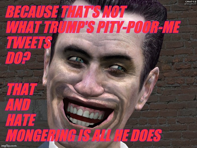 . | BECAUSE THAT'S NOT WHAT TRUMP'S PITY-POOR-ME TWEETS                           DO? THAT             AND                        HATE MONGERING | image tagged in g-man from half-life | made w/ Imgflip meme maker