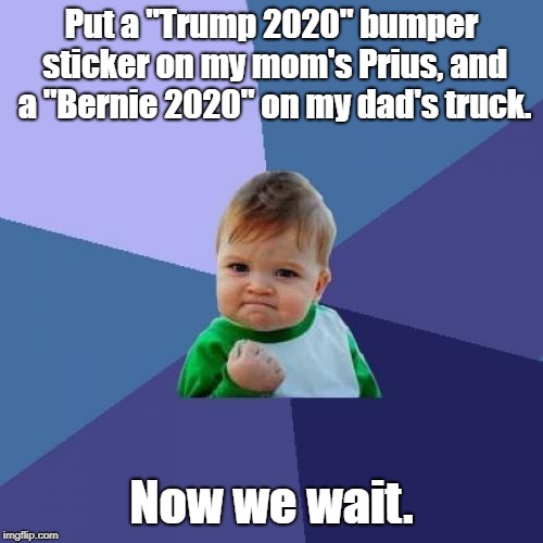 And let the fireworks begin. | Put a "Trump 2020" bumper sticker on my mom's Prius, and a "Bernie 2020" on my dad's truck. Now we wait. | image tagged in memes,success kid,funny,funny memes,political meme | made w/ Imgflip meme maker