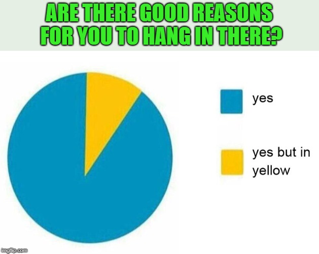 pie chart yes but in yellow | ARE THERE GOOD REASONS FOR YOU TO HANG IN THERE? | image tagged in pie chart yes but in yellow | made w/ Imgflip meme maker