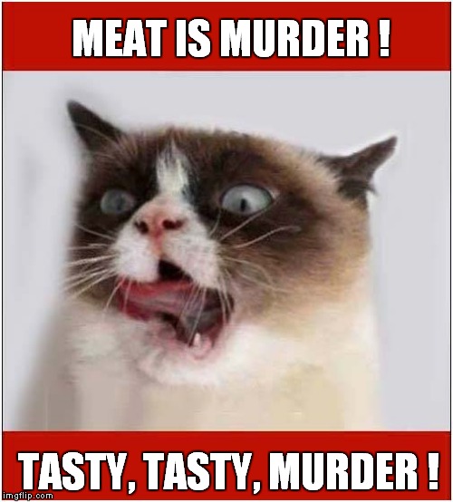 A Grumpy Meat Lover | MEAT IS MURDER ! TASTY, TASTY, MURDER ! | image tagged in cats,grumpy cat | made w/ Imgflip meme maker