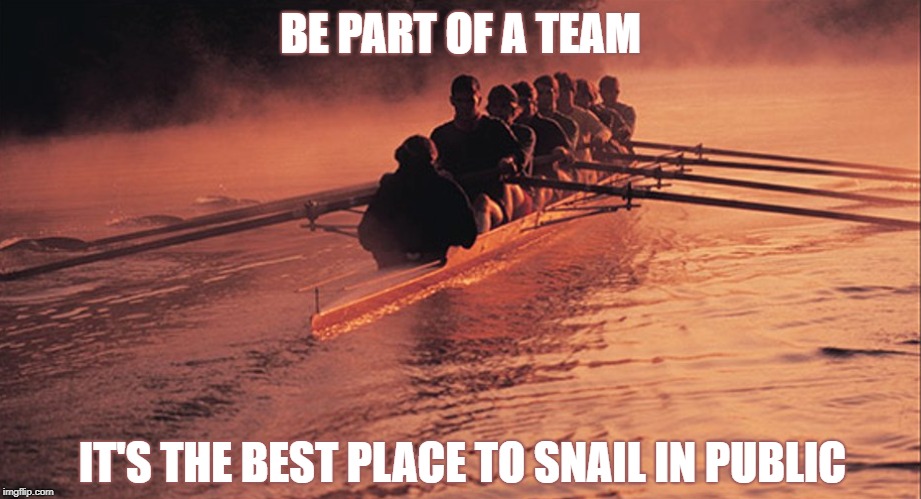 Demotivating Poster Numero Uno | BE PART OF A TEAM; IT'S THE BEST PLACE TO SNAIL IN PUBLIC | image tagged in teamwork,slouch,snail | made w/ Imgflip meme maker