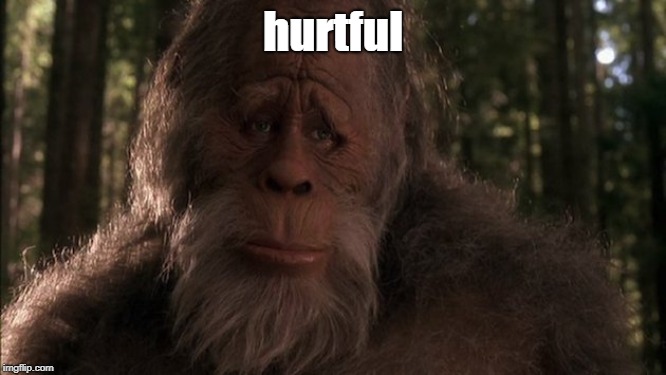 Bigfoot | hurtful | image tagged in bigfoot | made w/ Imgflip meme maker