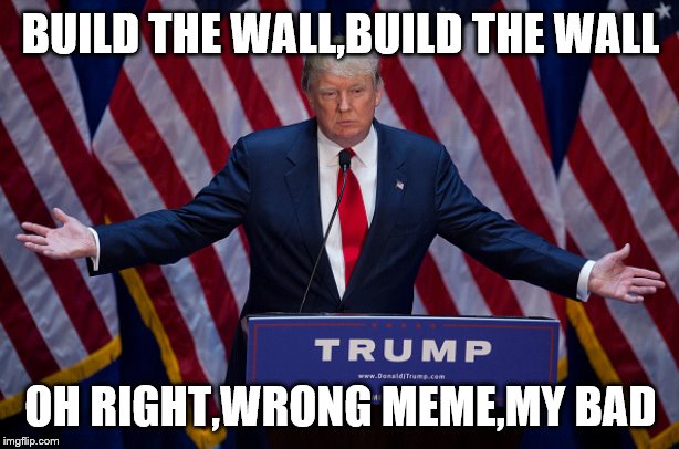 Donald Trump | BUILD THE WALL,BUILD THE WALL OH RIGHT,WRONG MEME,MY BAD | image tagged in donald trump | made w/ Imgflip meme maker