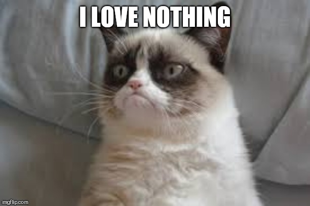 Grumpy cat | I LOVE NOTHING | image tagged in grumpy cat | made w/ Imgflip meme maker