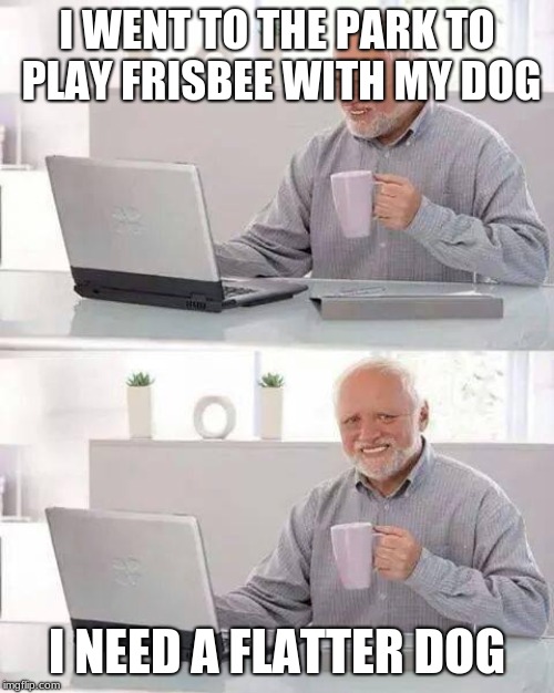 Hide the Pain Harold | I WENT TO THE PARK TO PLAY FRISBEE WITH MY DOG; I NEED A FLATTER DOG | image tagged in memes,hide the pain harold | made w/ Imgflip meme maker