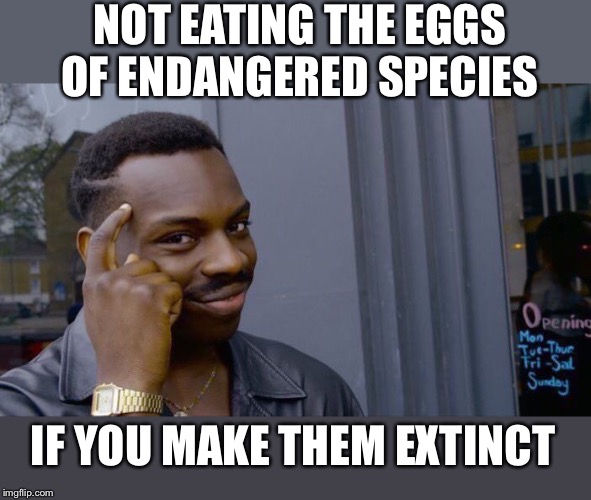 Roll Safe Think About It Meme | NOT EATING THE EGGS OF ENDANGERED SPECIES IF YOU MAKE THEM EXTINCT | image tagged in memes,roll safe think about it | made w/ Imgflip meme maker