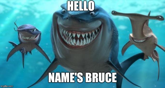 Fish are friends not food | HELLO NAME'S BRUCE | image tagged in fish are friends not food | made w/ Imgflip meme maker