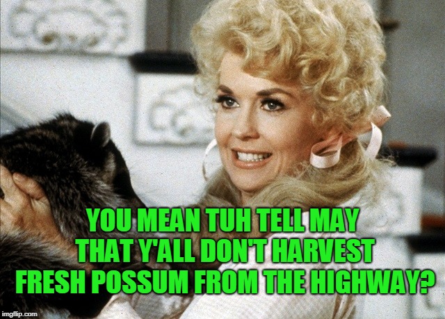 Ellie Mae Clampett | YOU MEAN TUH TELL MAY THAT Y'ALL DON'T HARVEST FRESH POSSUM FROM THE HIGHWAY? | image tagged in ellie mae clampett | made w/ Imgflip meme maker