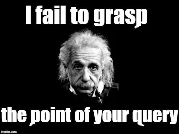 Albert Einstein 1 Meme | I fail to grasp the point of your query | image tagged in memes,albert einstein 1 | made w/ Imgflip meme maker