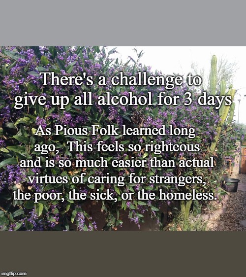 Virtue | There's a challenge to give up all alcohol for 3 days; As Pious Folk learned long ago,  This feels so righteous and is so much easier than actual virtues of caring for strangers, the poor, the sick, or the homeless. | image tagged in challenge,alcohol,virtue | made w/ Imgflip meme maker