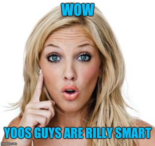 Dumb blonde | WOW YOOS GUYS ARE RILLY SMART | image tagged in dumb blonde | made w/ Imgflip meme maker