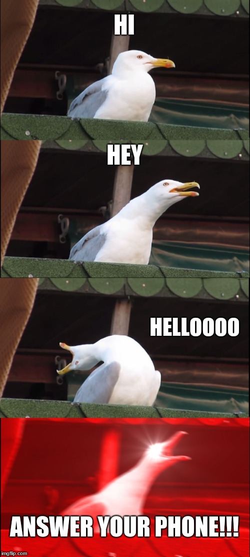 Inhaling Seagull Meme | HI; HEY; HELLOOOO; ANSWER YOUR PHONE!!! | image tagged in memes,inhaling seagull | made w/ Imgflip meme maker