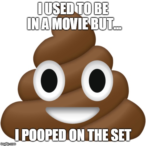 I USED TO BE IN A MOVIE BUT... I POOPED ON THE SET | image tagged in funny | made w/ Imgflip meme maker