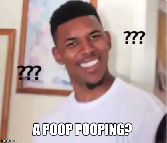 confused nigga | A POOP POOPING? | image tagged in confused nigga | made w/ Imgflip meme maker