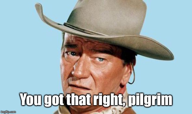 John Wayne | You got that right, pilgrim | image tagged in john wayne | made w/ Imgflip meme maker